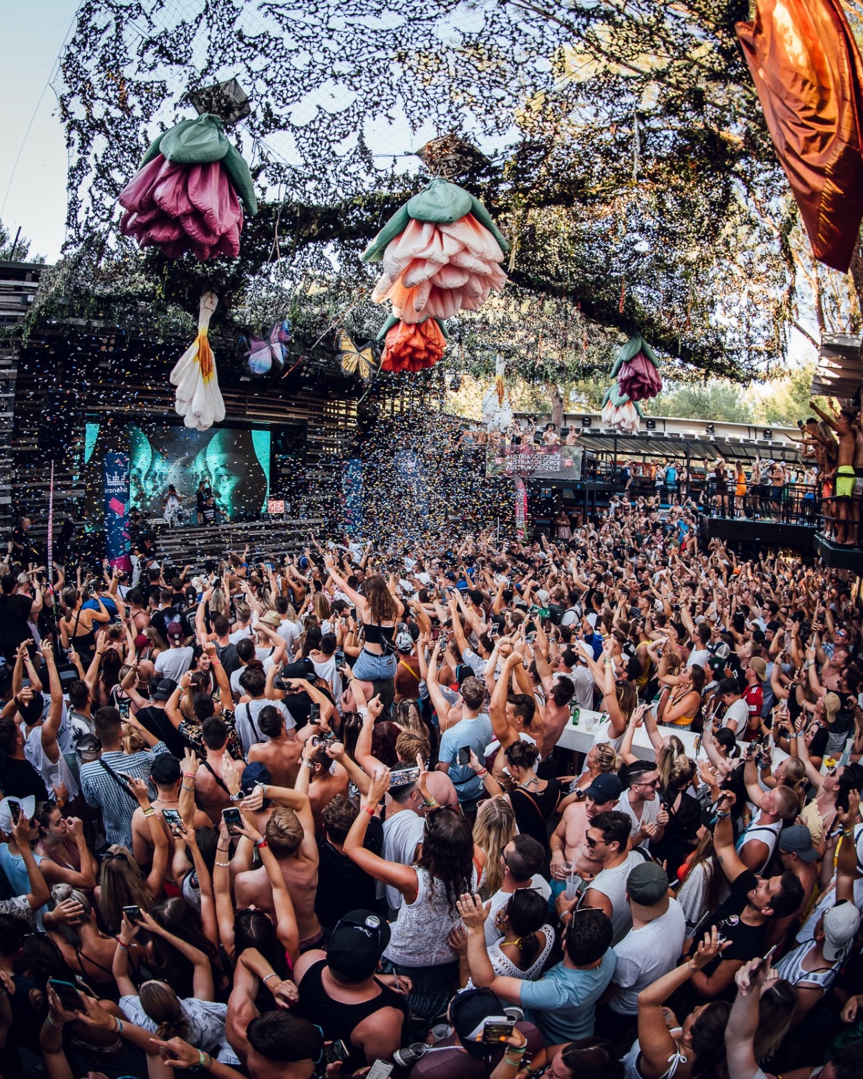 Kalypso Club Zrce Beach 3